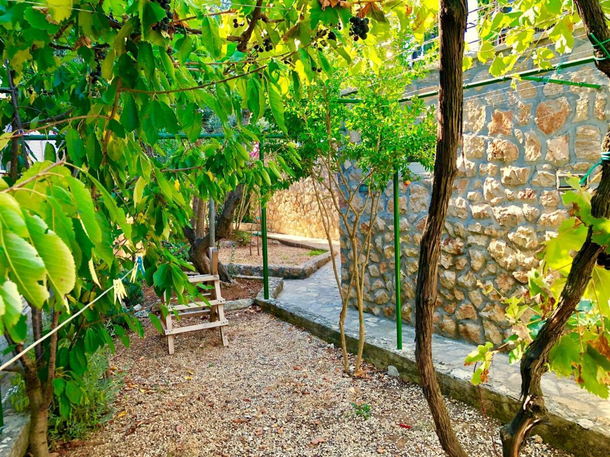 Villa Dinastija Kali Εξωτερικό φωτογραφία