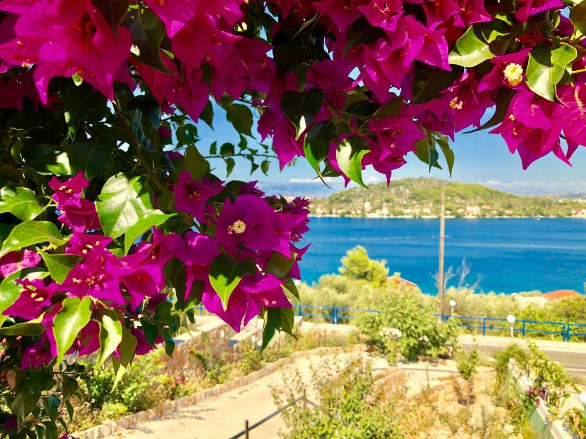 Villa Dinastija Kali Εξωτερικό φωτογραφία